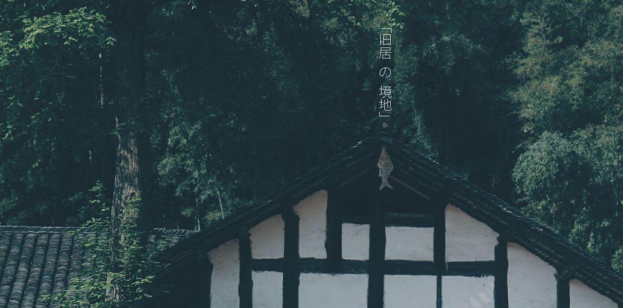 中国成功破解量子加密,这是西方掌握不了的技术,潘建伟曝好消息-最佳的有问必答平台网页